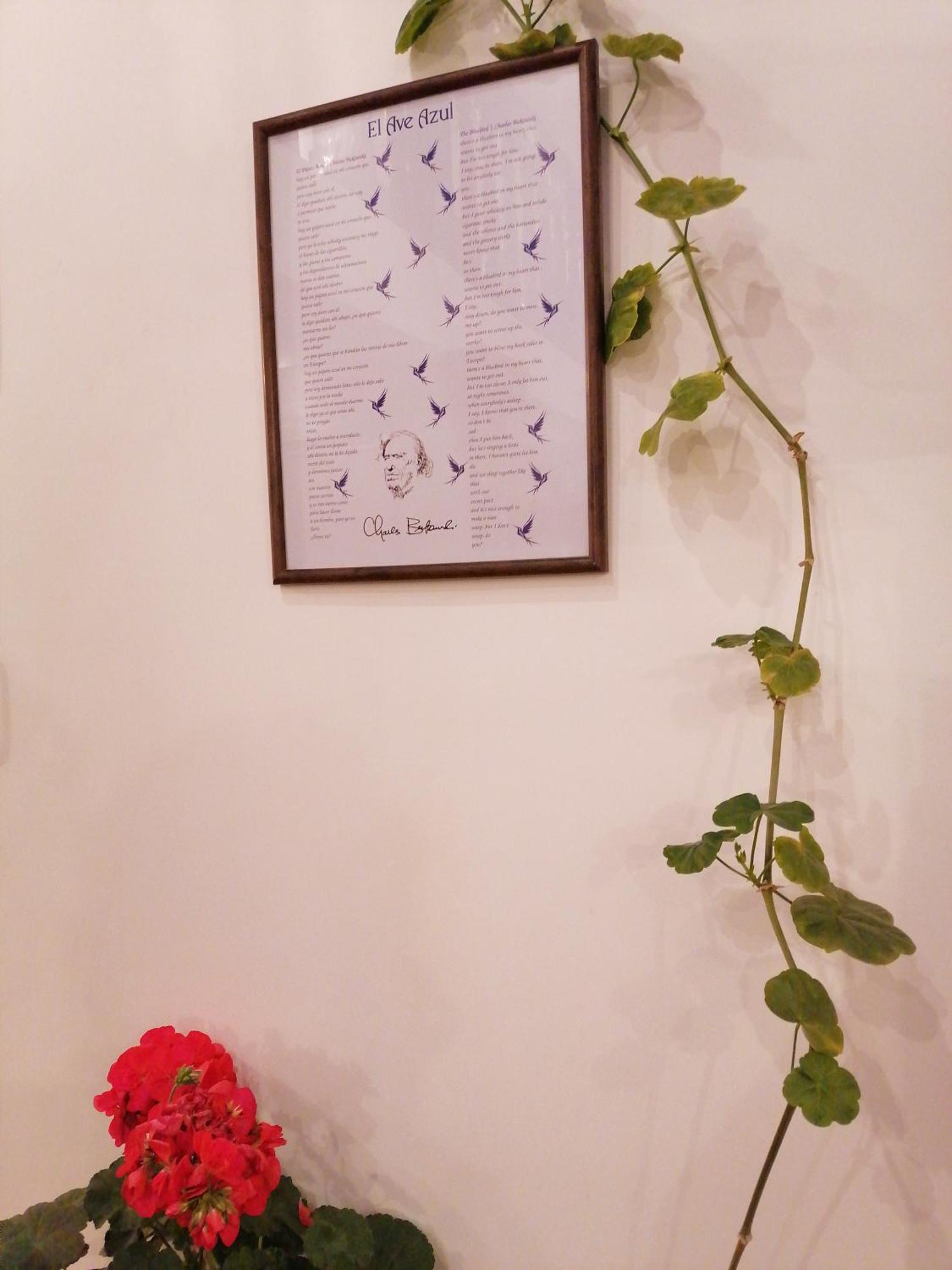 El Ave Azul Boutique Hotel Куско Екстериор снимка